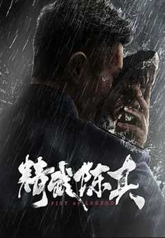 免费在线观看《精武陈真全集30集》