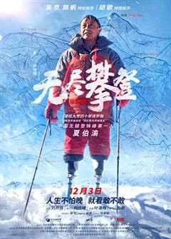 免费在线观看《无尽攀登电影首映》