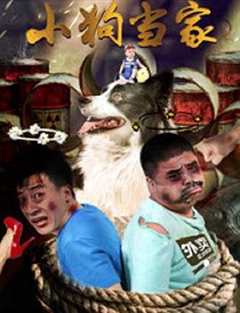 免费在线观看《小狗当家电影中文版》