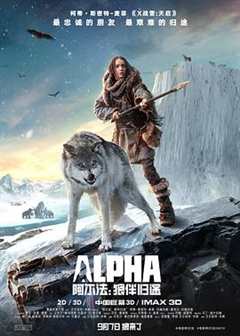 免费在线观看《阿尔法:狼伴归途电影》