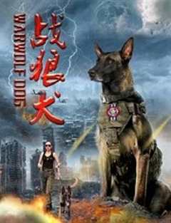 免费在线观看《战狼犬电影简介》