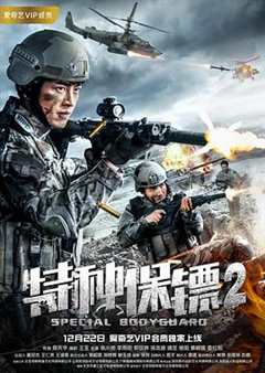 免费在线观看《特种保镖第2集》