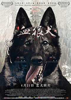 免费在线观看《血狼犬在线观看》