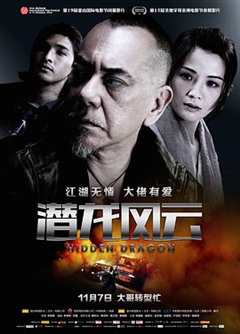 免费在线观看《潜龙风云在线国语版》