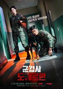 免费在线观看完整版韩国剧《军事检察官的选拔形式》