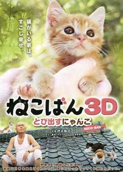 免费在线观看《小猫跳出来3D》