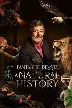 免费在线观看《神奇动物：自然历史》