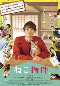 免费在线观看完整版日本剧《猫物件》