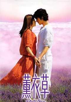 免费在线观看《薰衣草2001免费观看》