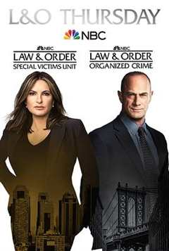 免费在线观看完整版欧美剧《法律与秩序:组织犯罪第二季》