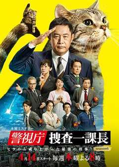 免费在线观看完整版日本剧《警视厅·搜查一课长2020 电视剧》