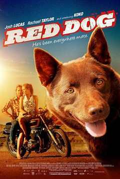 免费在线观看《红犬历险记国语》