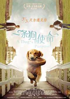 免费在线观看《一条狗的使命免费观看原版》