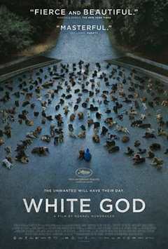 免费在线观看《白色上帝免费完整版》