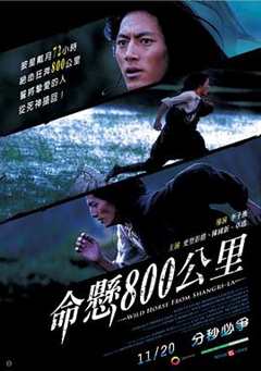 免费在线观看《命悬800公里 电影简介》