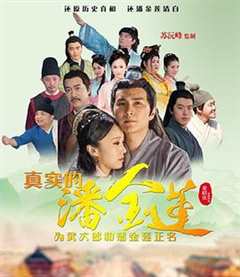 免费在线观看《大明奇冤40集》