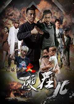 免费在线观看《电影岭城兄弟2》