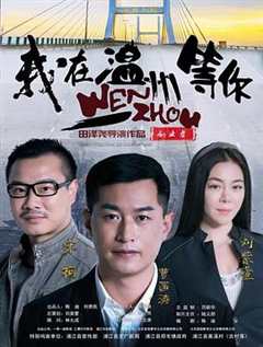 免费在线观看《我在等温柔版》