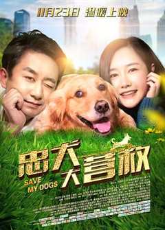 免费在线观看《忠犬大营救电影》