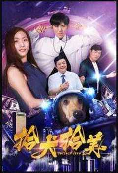 免费在线观看《拾て犬a》