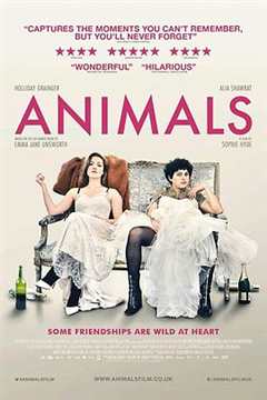 免费在线观看《都柏林动物剧情》