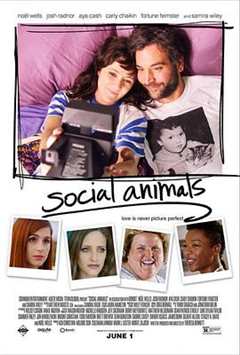 免费在线观看《社交动物豆瓣》