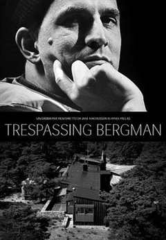免费在线观看《打扰伯格曼》