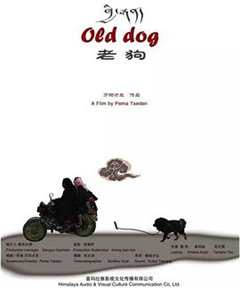 免费在线观看《老狗》