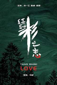 免费在线观看《红豆杉之恋》