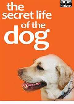 免费在线观看《我的狗狗系列》