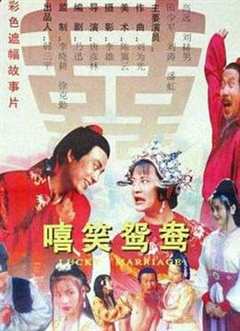 免费在线观看《嘻笑鸳鸯 电影 1995》