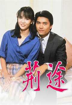 免费在线观看完整版香港剧《荆途港剧网1982》