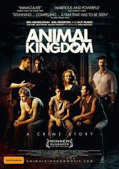 免费在线观看《动物王国》