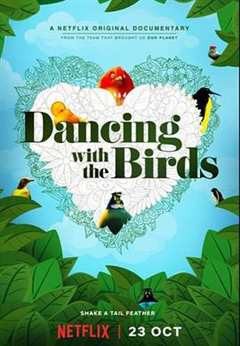 免费在线观看《与鸟共舞的诗句》