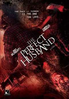 免费在线观看《完美丈夫 高清免费观看韩国电影》