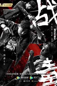 免费在线观看完整版香港剧《战毒国语版》