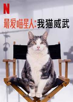 免费在线观看《我最爱猫满分作文》