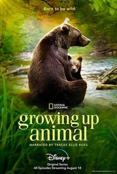 免费在线观看《动物成长 高清免费观看动画片》