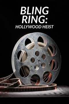 免费在线观看《美国北好莱坞劫案电影》