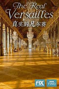 免费在线观看《真实的凡尔赛文学》