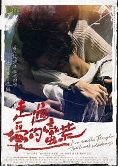 免费在线观看完整版台湾剧《走过爱的荒蛮 高清免费观看电影》
