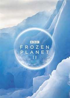免费在线观看《冰冻星球动画片免费观看》
