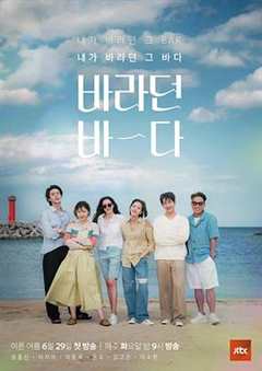 免费在线观看完整版韩国剧《盼望的大海在哪里看》