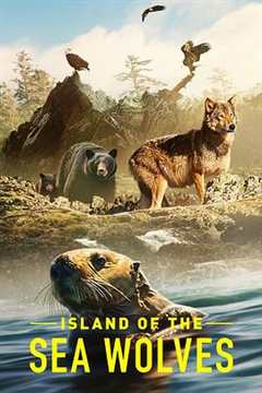 免费在线观看《海狼之岛第一季 高清免费观看中文》