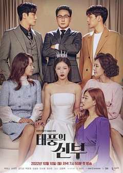 免费在线观看完整版韩国剧《台风的新娘》