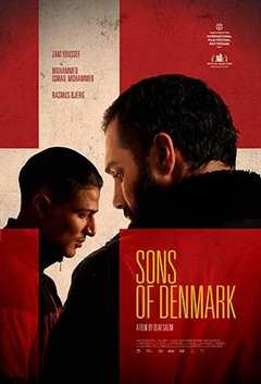 免费在线观看《丹麦之子剧情解析》