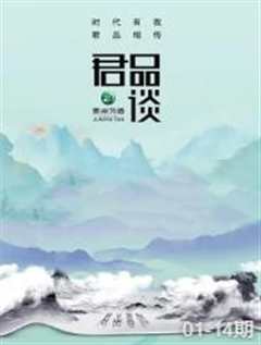 免费在线观看《君品谈第二季》