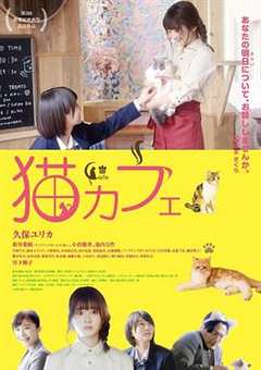 免费在线观看《猫咪咖啡馆电视剧》