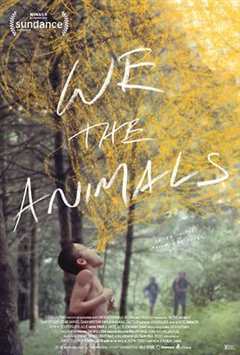 免费在线观看《我们，动物》