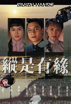 免费在线观看完整版香港剧《自梳女 tvb》